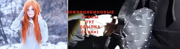 прущие крисы Михайлов