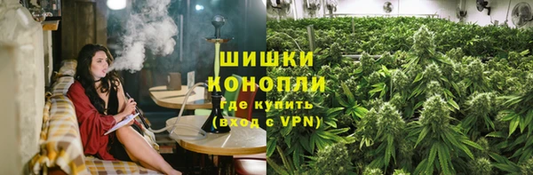 гашик Михайловка