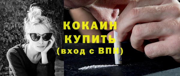 твердый Михайловск