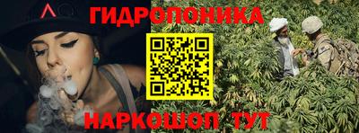 крисы Аргун