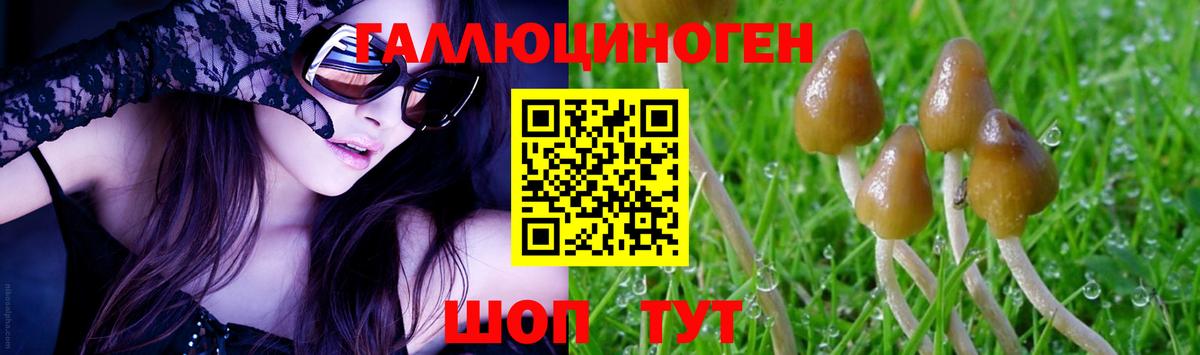 Псилоцибиновые грибы мицелий Балаково