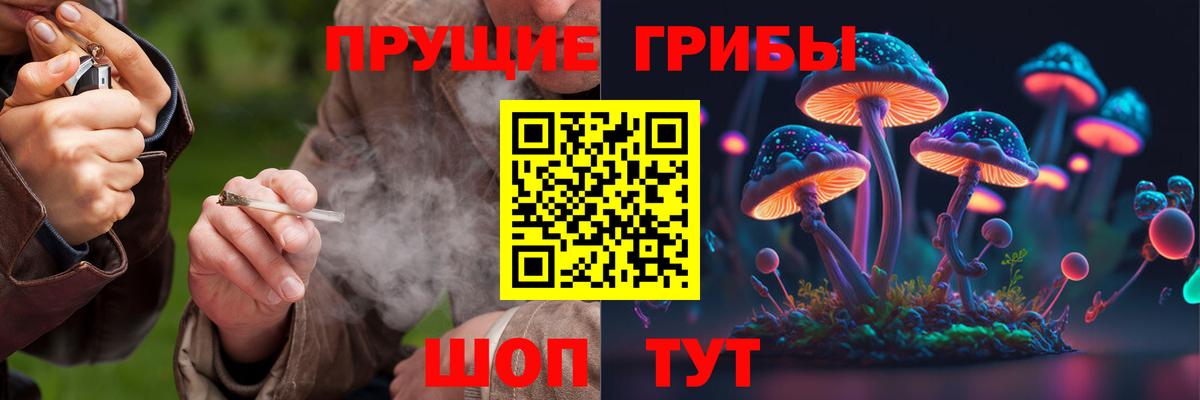 цена наркотик  Псилоцибиновые грибы GOLDEN TEACHER  Вход с VPN  Балаково  Галлюциногенные грибы Psilocybine cubensis 